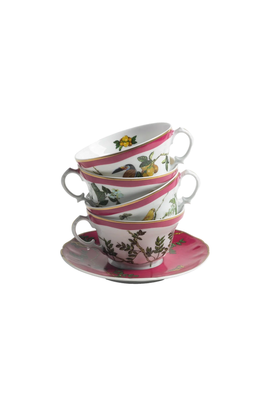 Tea Cup and Saucer Passaros do Brasil Pink (4)