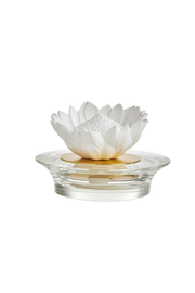Diffuser Protea