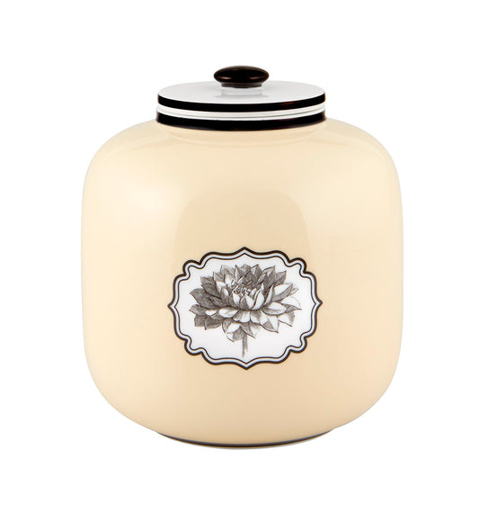 Herbariae – Timor Box – Vista Alegre