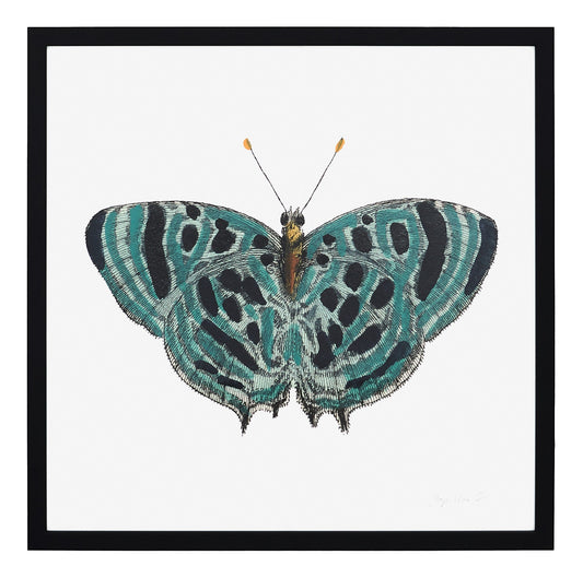 Papillon II