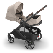 UPPAbaby Cruz V3 Stroller