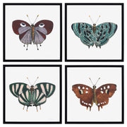 Papillon I