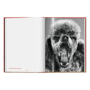 Walter Chandoha. Dogs. Photographs 1941–1991 (English)