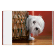 Walter Chandoha. Dogs. Photographs 1941–1991 (English)