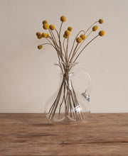 Pienza Pitcher