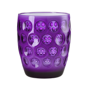 Lente Acrylic Tumbler