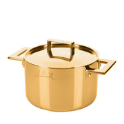 Attiva Gold 24 cm Pot with Lid – view 1