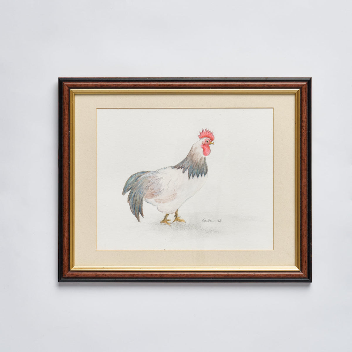 Pencil Drawn Chicken - Framed Original by J D Corke