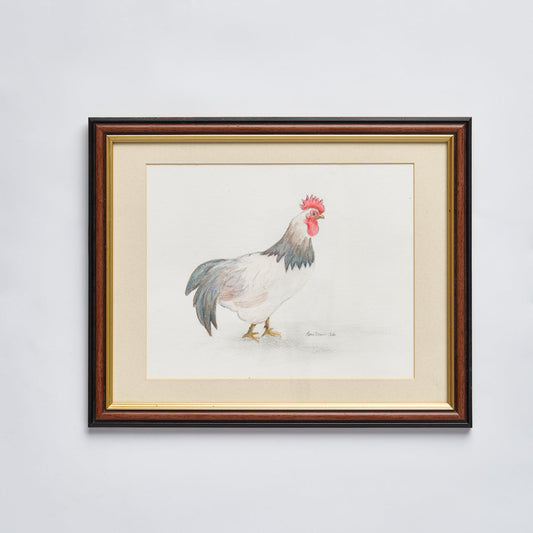 Pencil Drawn Chicken - Framed Original by J D Corke