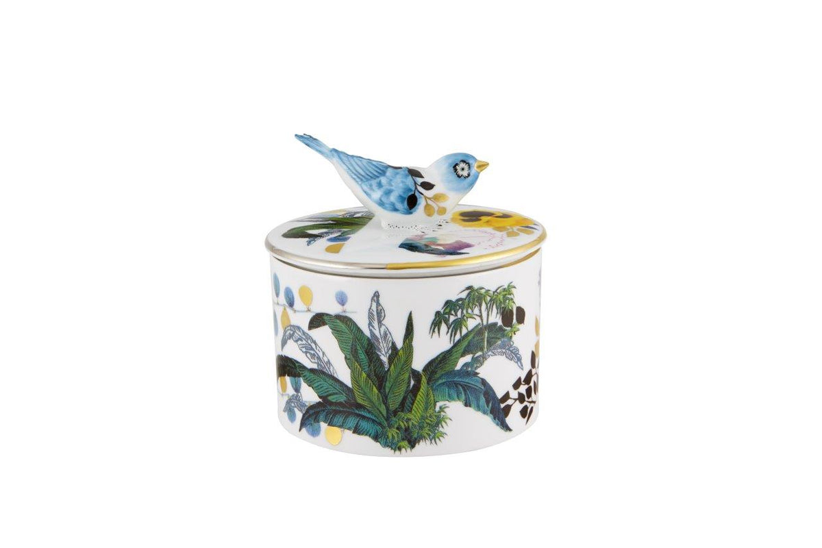 Lacroix - Primavera - Box Carriça (21130860)