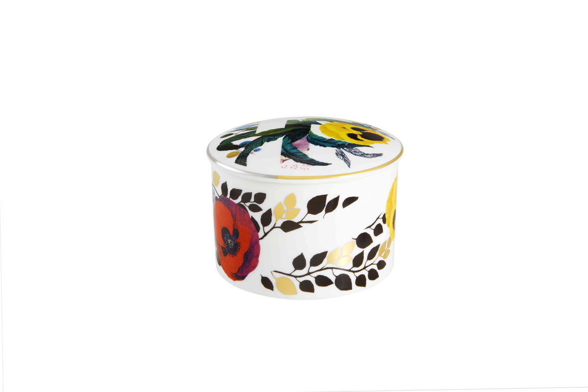 Lacroix - Primavera - Box Evora (21132628)