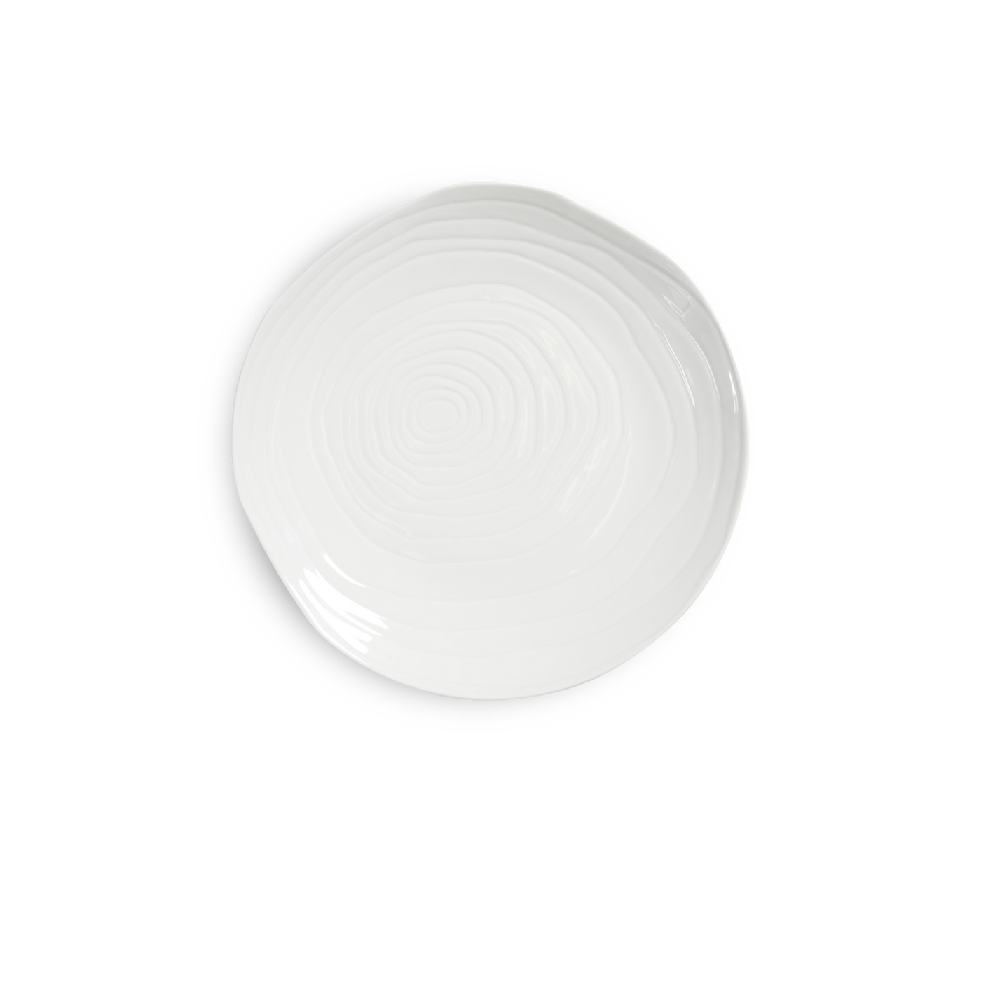 Teck 11" White Dinner Plates, Set of 4