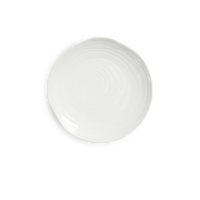 Teck 11" White Dinner Plates, Set of 4
