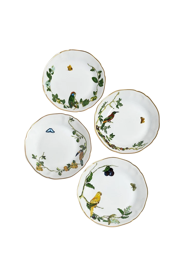 Soup Plate Passaros do Brasil (4)