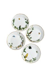 Soup Plate Passaros do Brasil (4)