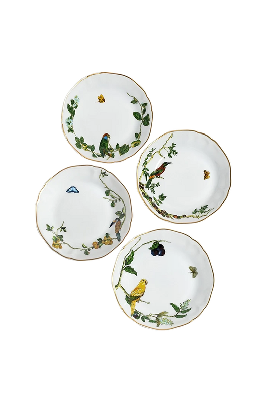 Soup Plate Passaros do Brasil (4)