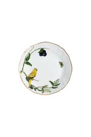 Soup Plate Passaros do Brasil (4)