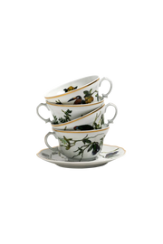Tea Cup and Saucer Passaros do Brasil (4)
