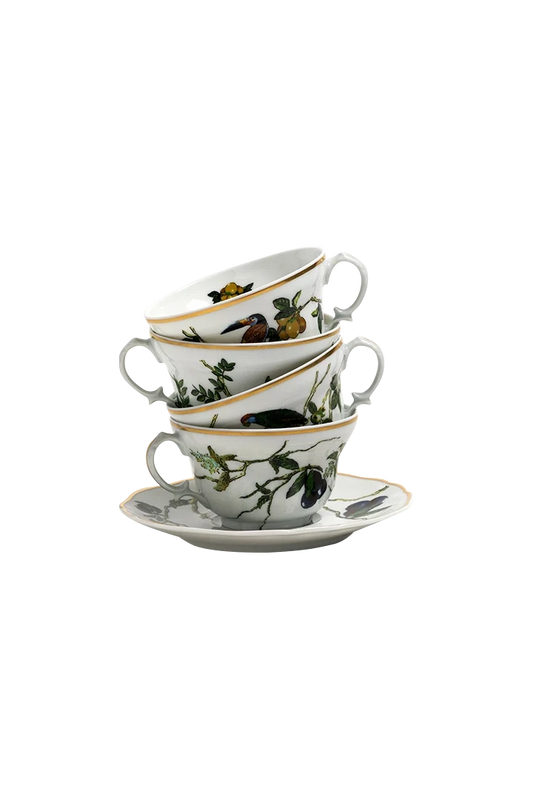 Tea Cup and Saucer Passaros do Brasil (4)
