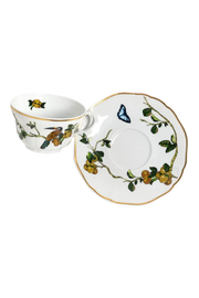 Tea Cup and Saucer Passaros do Brasil (4)