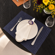 Crocodile Navy Placemats (Set of 2)