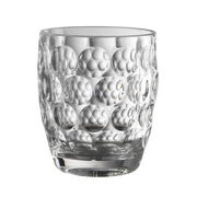 Lente Acrylic Tumbler