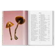 The Gourmand's Mushroom. A Collection of Stories and Recipes (English)
