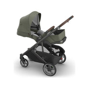 UPPAbaby Cruz V3 Stroller