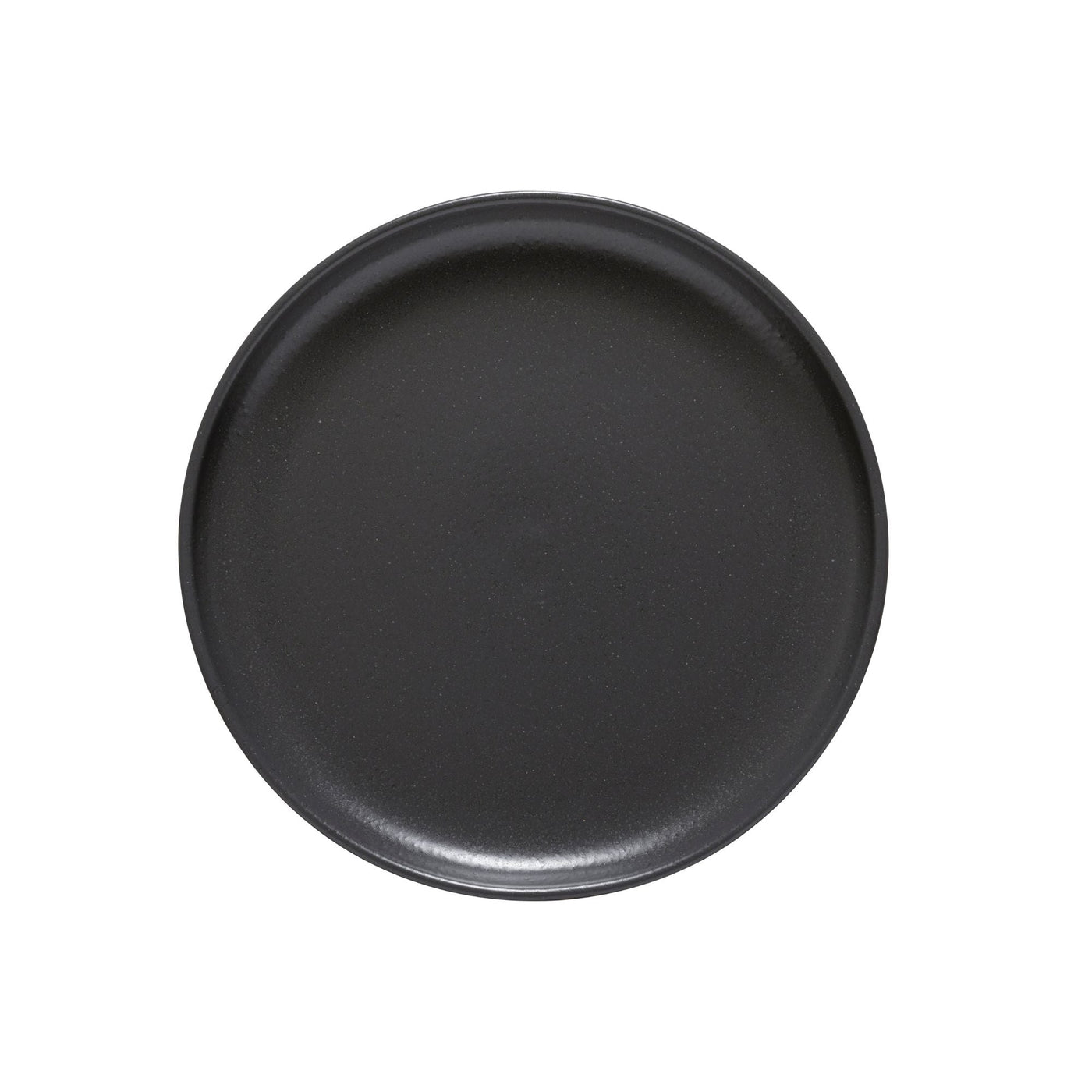 Dinner Plate Pacifica, Casafina by COSTA NOVA