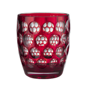 Lente Acrylic Tumbler