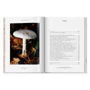 The Gourmand's Mushroom. A Collection of Stories and Recipes (English)
