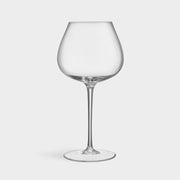 Aroma Copa Gin Set Of 4