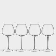 Aroma Copa Gin Set Of 4