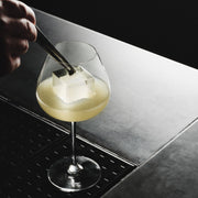 Aroma Copa Gin Set Of 4