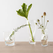 Squeeze Clear Vase Tall