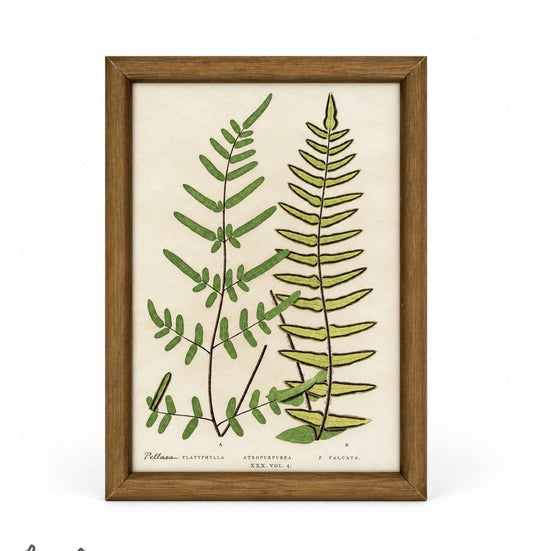 Set of 6 Decorative Fern prints