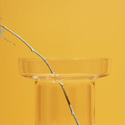 Limelight Vase Clear Tall