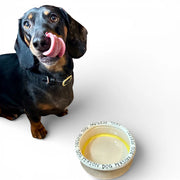 Dog Person Dog Bowl