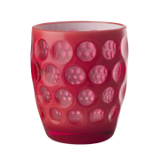 Lente Acrylic Tumbler
