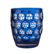 Lente Acrylic Tumbler