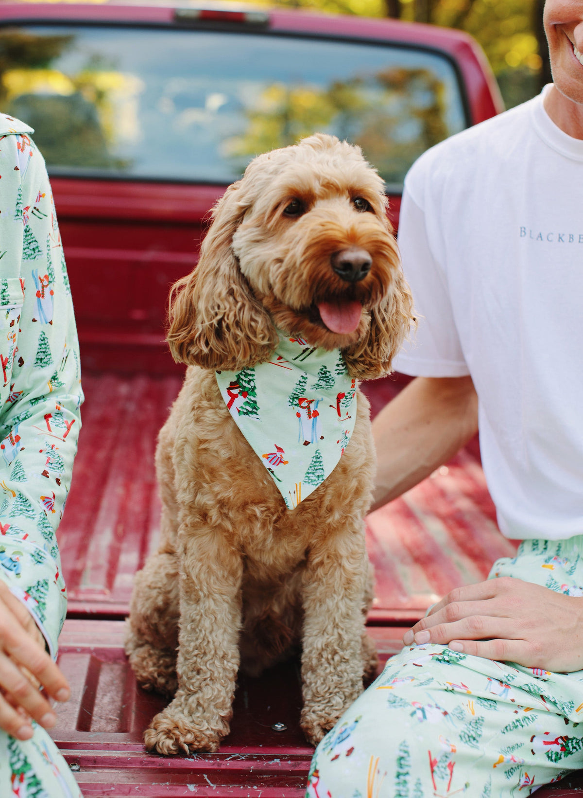 The Good Dog Bandana