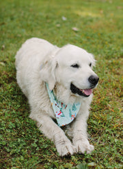 The Good Dog Bandana
