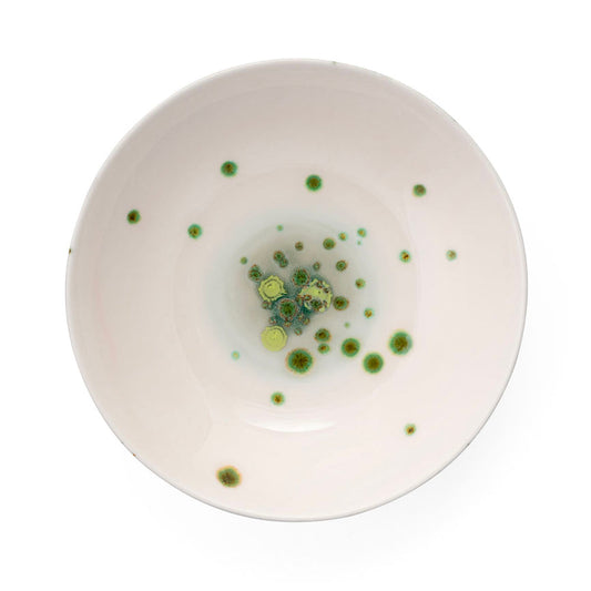 Autumn Soup Coupe Plate