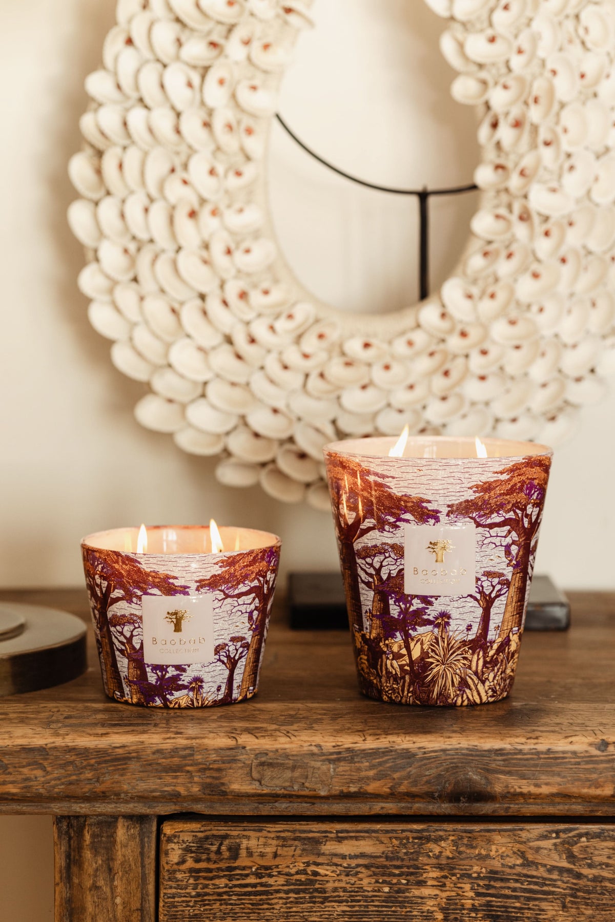 Baobab Massasso Sacred Trees Max 24 Candle