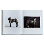 Untamed Spirits: Horses From Around the World