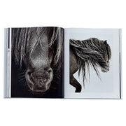 Untamed Spirits: Horses From Around the World