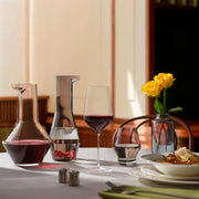 Beak Water Carafe