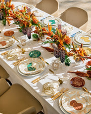 Soup Plate Frutas do Brasil (4)