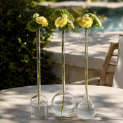 Long Neck Mouth Blown Vase - Teardrop Shaped