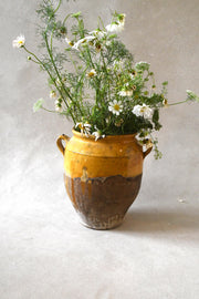 Antique French Confit Jar